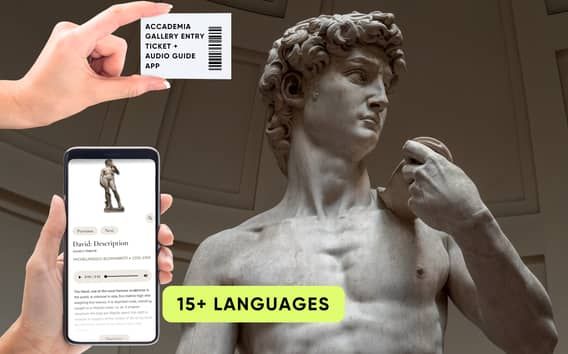 Florença: David de Michelangelo: ingresso prioritário e aplicativo de áudio