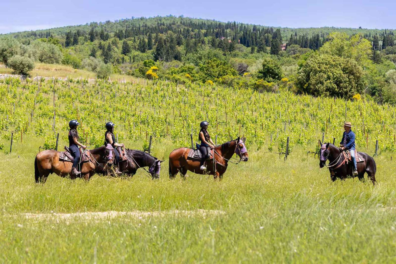 Florence: Horseback Riding Tour with Wine Tasting & Transfer