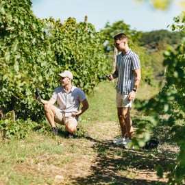 Vinprovning i Chianti från Florens, halvdag med buss
