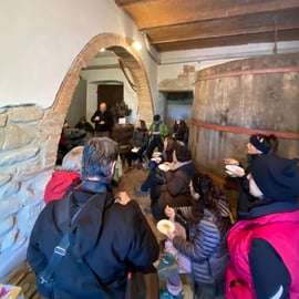 Mercatale in Val di Pesa: Olive Oil Tasting and Farm Tour