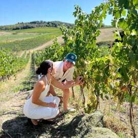 Florence: Wineries, Tastings, Lunch & San Gimignano Day Trip