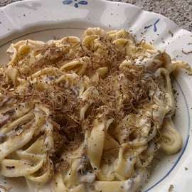 Búsqueda de trufas en la Toscana desde Florencia con almuerzo