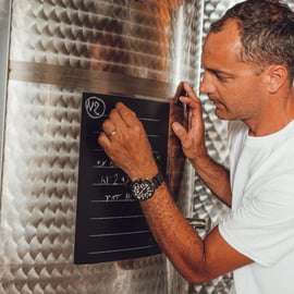 Cata de vinos en Greve in Chianti: Chianti Clásico bio