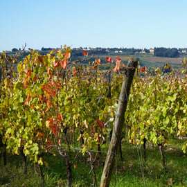 Wijntour Chianti Classico vanuit Florence, lunch bij Cecchini