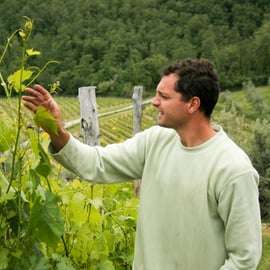 Florence: Chianti Villages, San Gimignano and Winery Tour