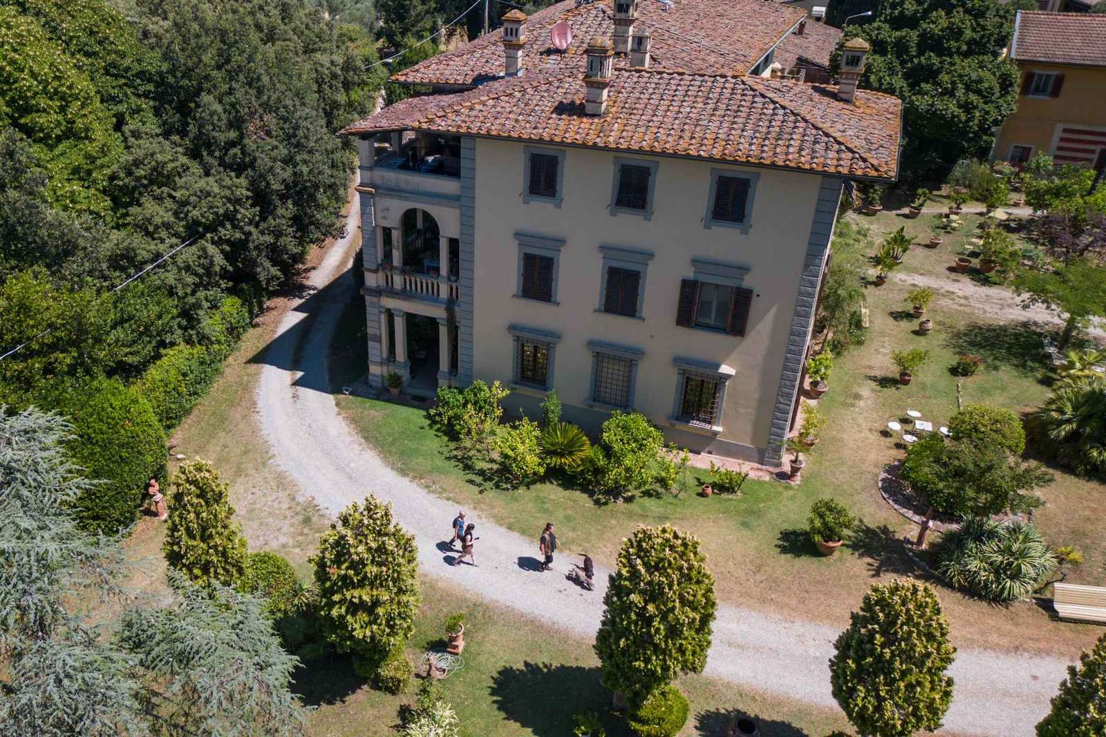 Chasse aux truffes à San Miniato avec dégustation gourmande