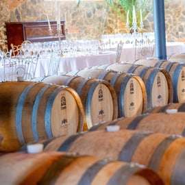 San Gimignano: Comida o Cena en una Bodega con Degustación de Vinos