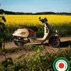 Firenze: egész napos Vespa-, robogó- és moped-bérlés