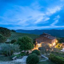 Organic Winery Tour in Chianti with Cellar Roof Views