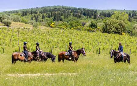Florence : Excursion à cheval avec dégustation de vin et transfert