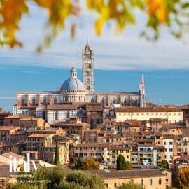 Florence : Excursion d'une journée avec temps libre à San Gimignano et Sienne