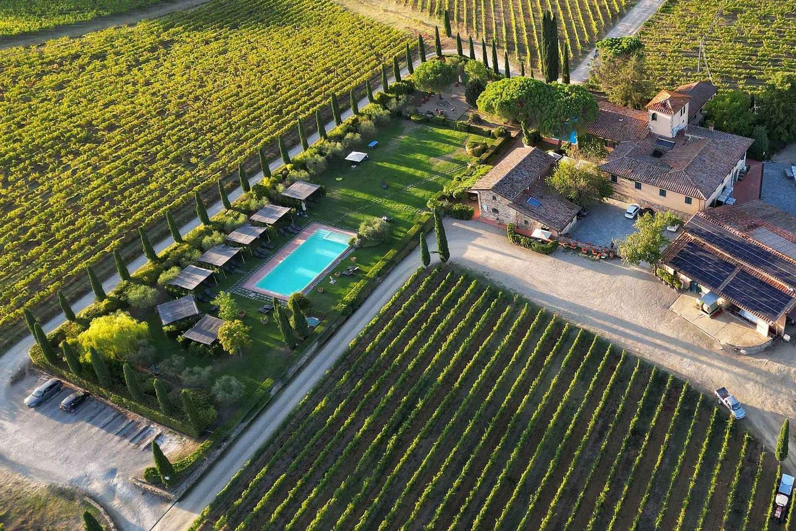Découvrez les vins du Chianti Classico lors d'une dégustation à Viticcio