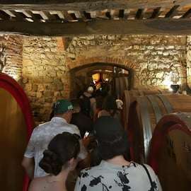 Vanuit Florence: Chianti-wijntour met proeverijen, halfdaagse tour