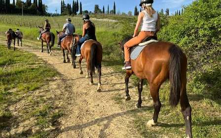 San Gimignano: Small-Group Tuscan Horse Ride & Winery Lunch