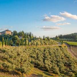 Visite de Florence en voiturette de golf dans les collines