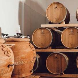 Cata de vinos en Greve in Chianti: Chianti Clásico bio