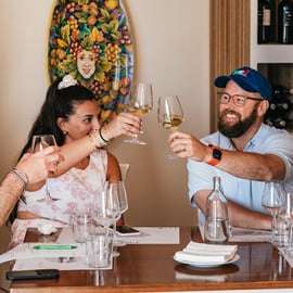 Small Group Wine Tasting Tour from Florence, Two Wineries