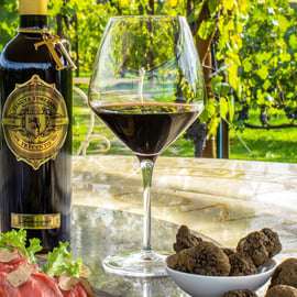 San Gimignano : Dégustation de vins et d'huiles avec amuse-gueules toscans