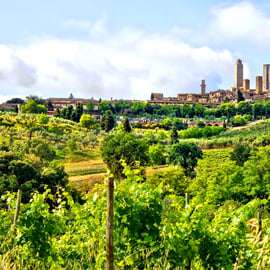 From Florence: Tuscany Day Trip with a Private Chauffeur
