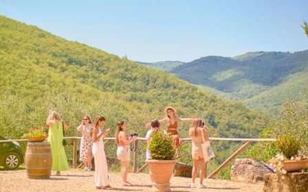 Vignobles du Chianti depuis Florence, 2 domaines et dégustations