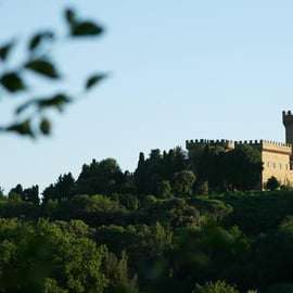 Privát golfautós túra Firenze dombjain és kilátóin