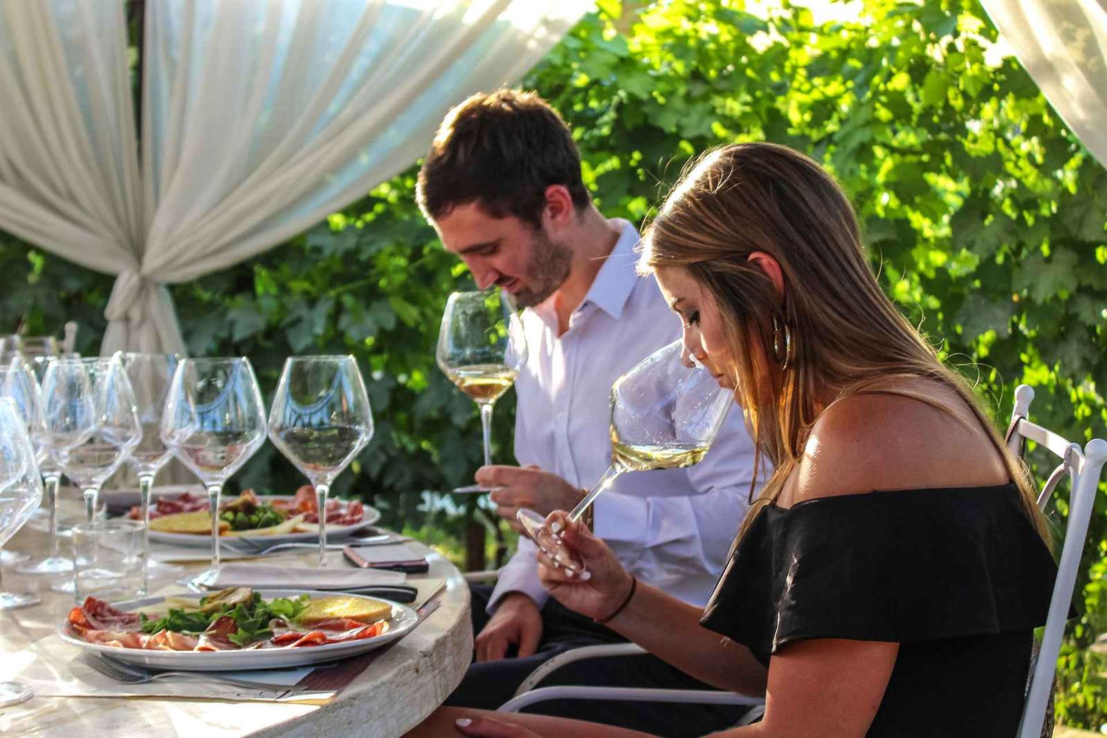 San Gimignano : Dégustation de vins et d'huiles avec amuse-gueules toscans