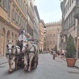 Horse-Drawn Carriage Tour in Florence with Costumed Coachman