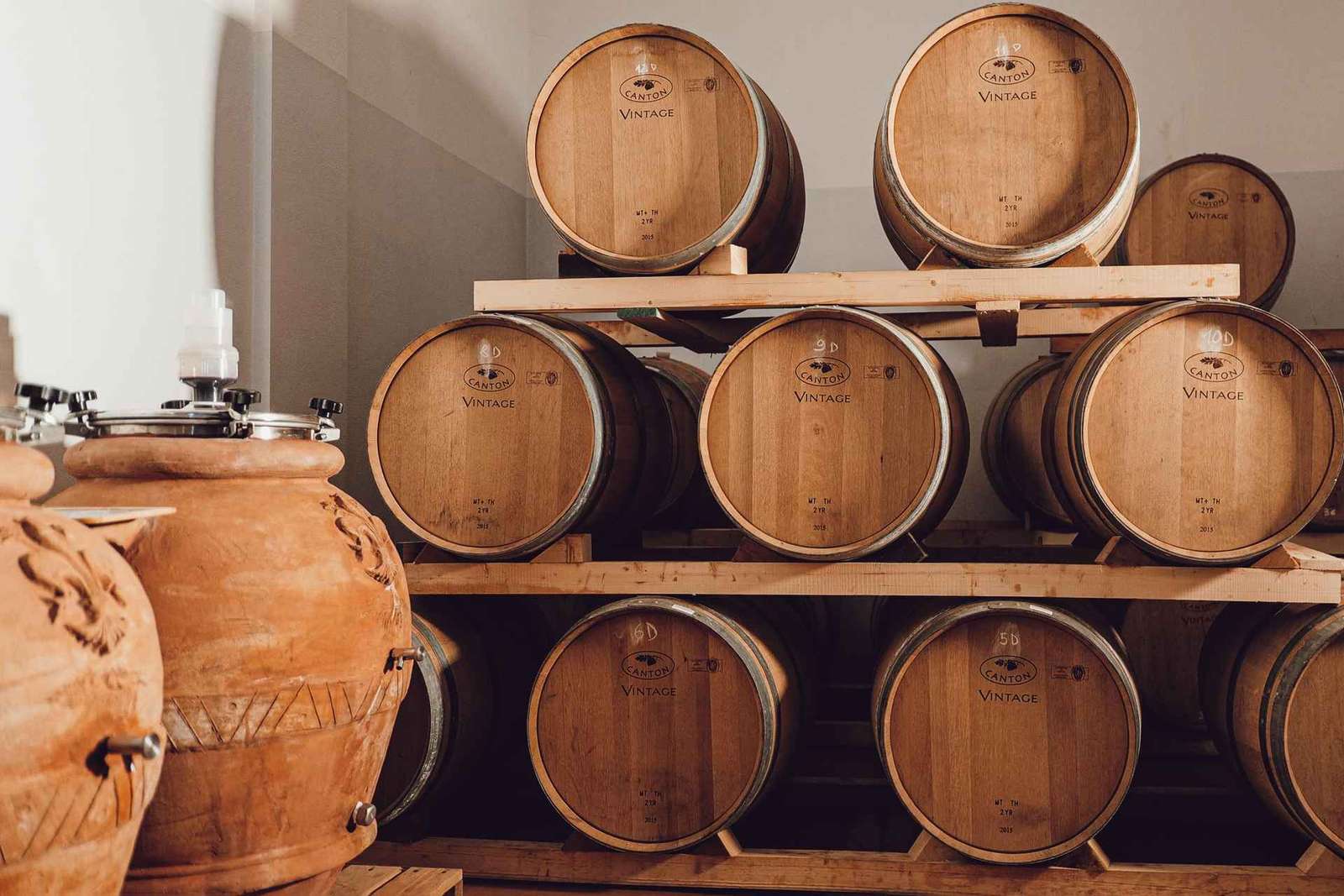 Cata de vinos en Greve in Chianti: Chianti Clásico bio