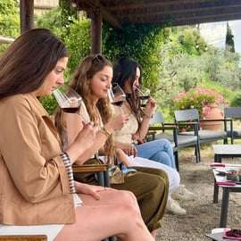 Florence: Wineries, Tastings, Lunch & San Gimignano Day Trip