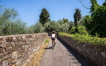 Florence: Tuscany Bike Tour with Wine & Olive Oil