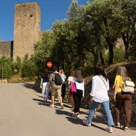 Florence: Monteriggioni & Val d'Orcia Optional Wine Tasting