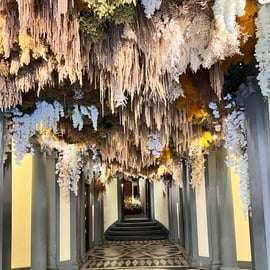 Florence: Guided Tour of the Oldest Pharmacy in Europe