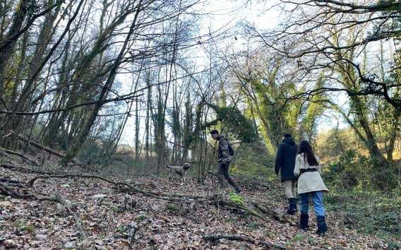 Chianti: Truffle Hunting & Pasta-Making Class with Lunch