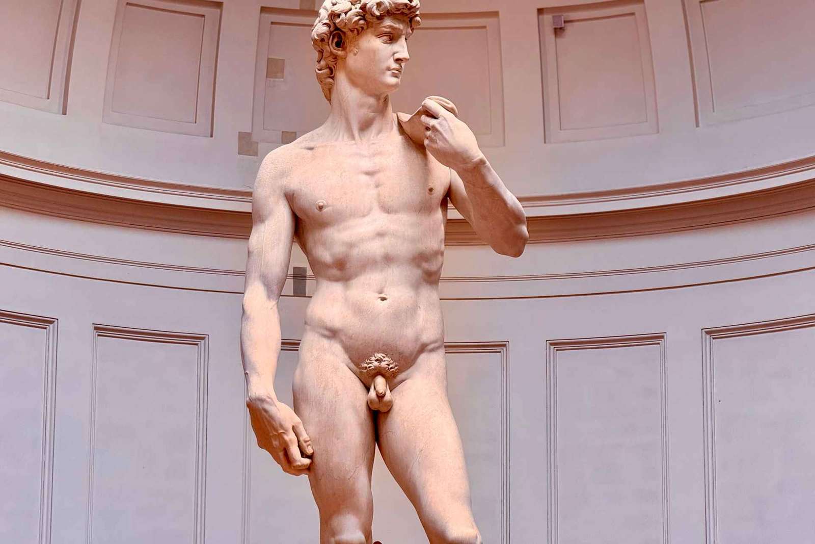 Florence: Accademia David Fast Track Skip the Line Tour