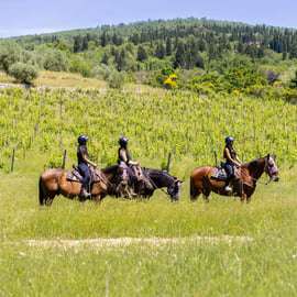 Florence: Horseback Riding Tour with Wine Tasting & Transfer