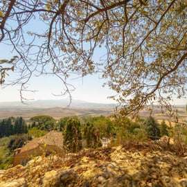 Från Florens: Val D'Orcia-tur med vinprovning