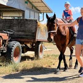 San Gimignano: Small-Group Tuscan Horse Ride & Winery Lunch