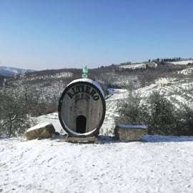 Cata de vinos en Greve in Chianti: Chianti Clásico bio