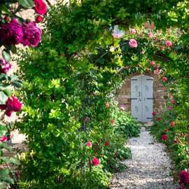 Organic Winery Tour in Chianti with Cellar Roof Views