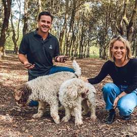 San Gimignano: Truffle Hunting with Lunch & Wine Tasting