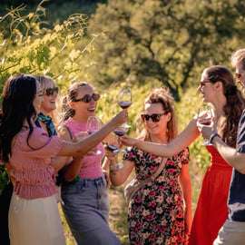 From Florence: Chianti Wine Tour with Tastings
