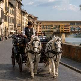 Horse-Drawn Carriage Tour in Florence with Costumed Coachman