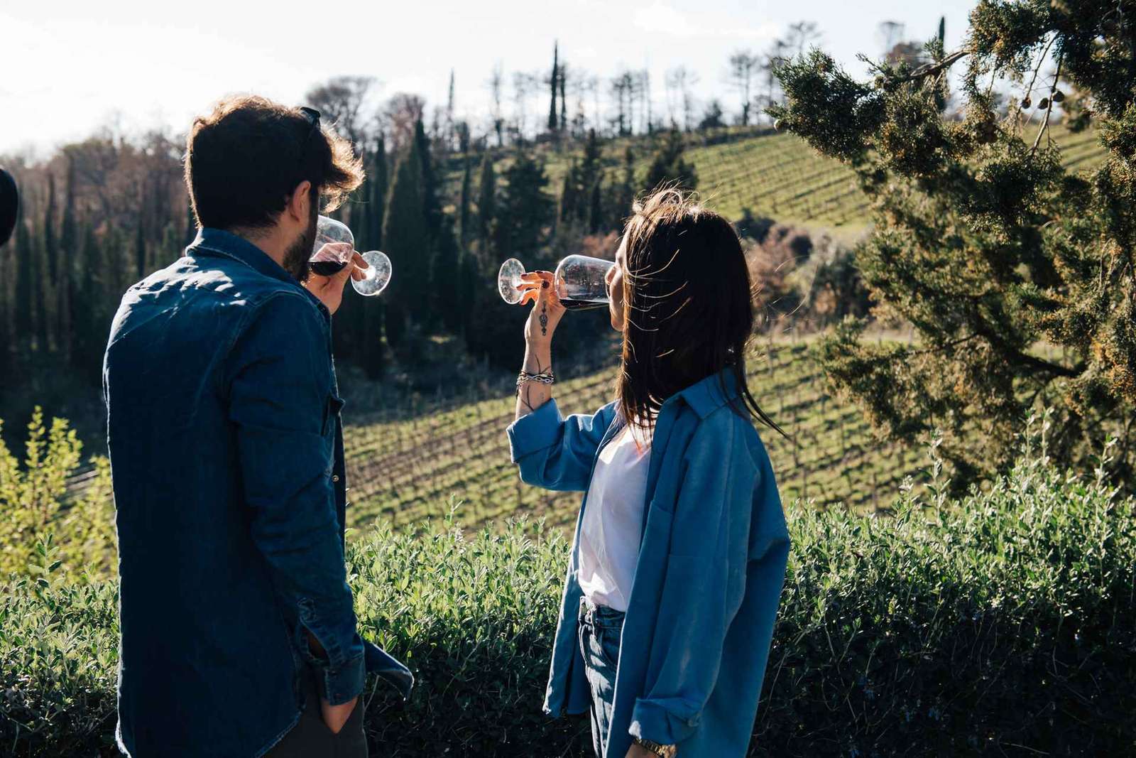 From Florence: Chianti Hills Half-Day Tour with Wine Tasting