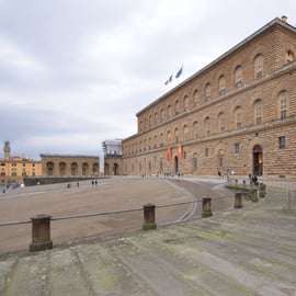 Florence: Pitti Palace and Palatina Gallery Ticket and Tour