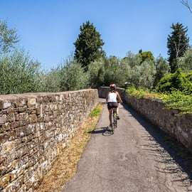 Florence: Tuscany Bike Tour with Wine & Olive Oil