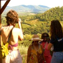 Chianti Wein und Olivenöl Tagestour ab Florenz