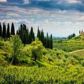 Wijnproeverij Chianti vanuit Florence: twee wijnhuizen
