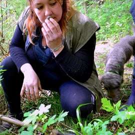 San Miniato : chasse aux truffes, repas et expérience gastronomique