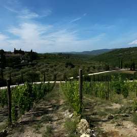 Vanuit Florence: Chianti-wijntour met proeverijen, halfdaagse tour