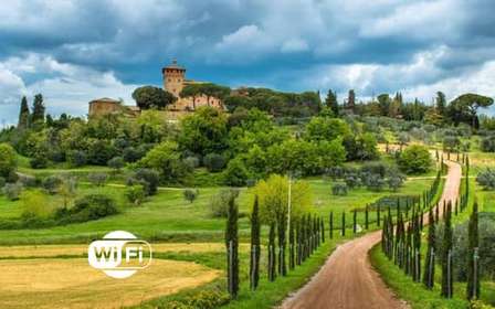 Excursion d'une demi-journée dans le Chianti depuis Florence